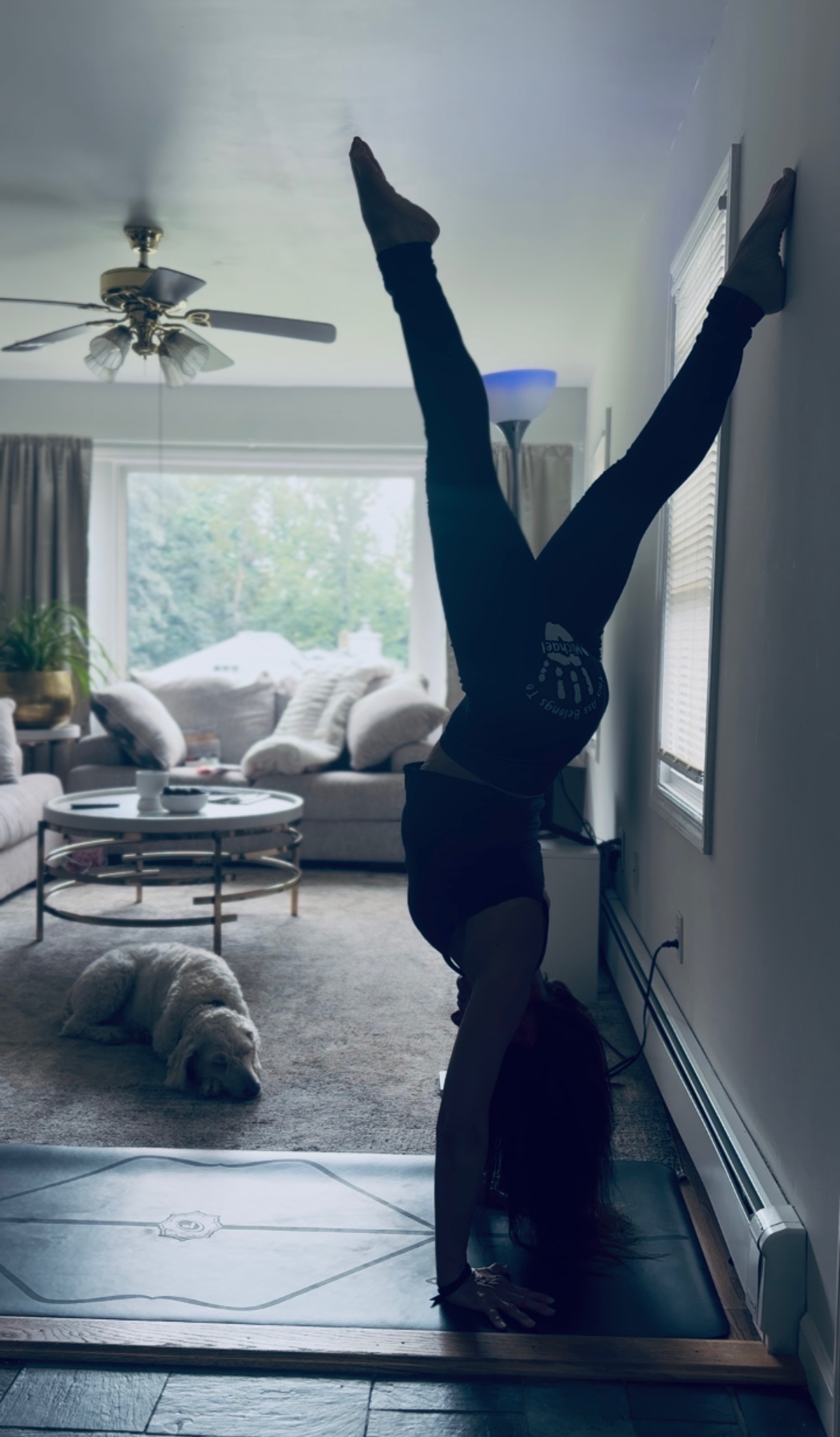 Darlene Cook in handstand on the mat, golden-doodle dog resting in the background
